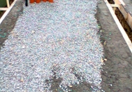 Photo0030