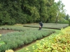 DSCF2474_1