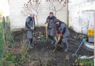 jeunes-au-travail-entretien-plantation-C1-pendant