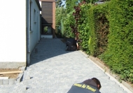 jeunes-au-travail-amenagement-terrasse-00