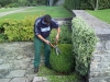 entretien espaces verts