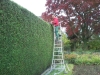 entretien espaces verts