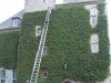 entretien espaces verts