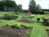 entretien espaces verts