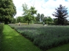 entretien espaces verts